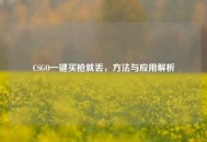 CSGO一键买枪就丢，     与应用解析