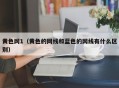 黄色网1（黄色的网线和蓝色的网线有什么区别）