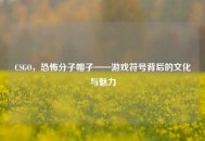 CSGO，***帽子——游戏符号背后的文化与魅力