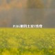 PUBG里的土豆T传奇