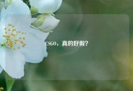 CSGO，真的好假？