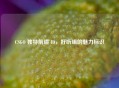 CSGO 独特前缀 ID，好听组的魅力标识