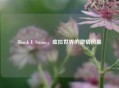 Bomb U Steam，虚拟世界的     风暴