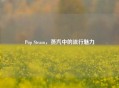 Pop Steam，蒸汽中的流行魅力