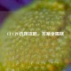 CF CPU选择攻略，答案全揭晓
