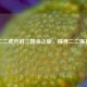 二二虎开启三国杀之旅，探寻二二强将