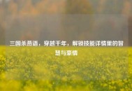 三国杀燕语，穿越千年，解锁技能详情里的智慧与豪情