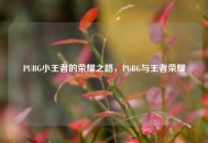 PUBG小王者的荣耀之路，PUBG与王者荣耀