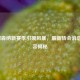 2025阿森纳新赛季引援风暴，最新转会消息与阵容揭秘