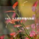 CSGO，IG之路的荣耀与挑战
