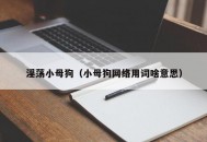 淫荡小母狗（小母狗网络用词啥意思）