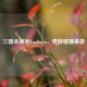 三国杀邂逅Fooltown，奇妙碰撞来袭