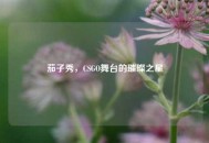 茄子秀，CSGO舞台的璀璨之星