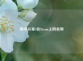 探寻从军1在Steam上的名称