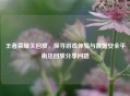 王者荣耀关回放，探寻游戏体验与数据安全平衡及回放分享问题