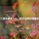 当三国杀邂逅 COD，跨次元奇妙碰撞来袭