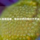 LOL原画插画，虚拟世界的奇幻艺术盛宴