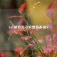 LOL破败如今究竟有多强？
