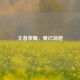 王者荣耀，爱已消逝