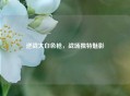 逆战大白色枪，战场独特魅影