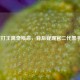 散打王离奇殒命，背后疑现官二代黑手？