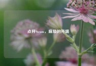点开Steam，麻烦的开端