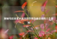 探秘乌拉圭紫水晶功效作用及最忌讳的三个生肖