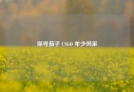 探寻茄子 CSGO 年少风采