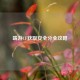端游CF获取安全分全攻略