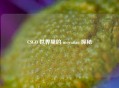 CSGO 世界里的 moyunao 探秘