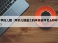 甲的儿媳（甲的儿媳是乙的母亲妯娌怎么称呼）