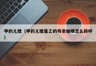 甲的儿媳（甲的儿媳是乙的母亲妯娌怎么称呼）