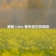 破解 COD16 着色器安装难题