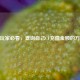 CF玩家必看，查询自己CF充值金额的     