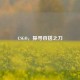 CSGO，探寻百搭之刀