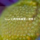 Steam 上的龙珠盛宴，龙珠 X