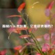 揭秘PUBG洲际赛，它是世界赛吗？