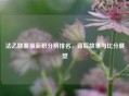 法乙联赛最新积分榜排名，背后故事与比分展望