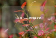 CSGO 中 Sevage 的传奇之路