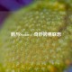 鹅与Steam，奇妙跨界联想