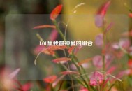 LOL里我最钟爱的组合