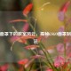 CSGO面罩下的教室风云，揭秘CSGO面罩          