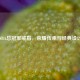历届NBA总冠军戒指，荣耀传承与经典设计全览