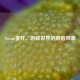 Steam麦炸，游戏世界的声音风暴