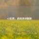 CF玄燕，战场灵动魅影