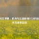 2006 年世界杯，巴西与法国巅峰对决的宿命转折及赛事回放