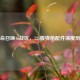 使命召唤16战区，725霰弹枪配件深度剖析