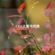 CSGO之鬼马传奇