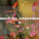 PUBG画面波纹与撕裂，影响游戏体验的棘手难题
