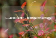 Steam官网无法打开，原因与解决办法全解析